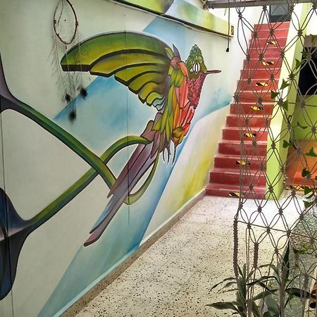 Ruta Alterna Backpacker Hotel Cajamarca Exterior photo